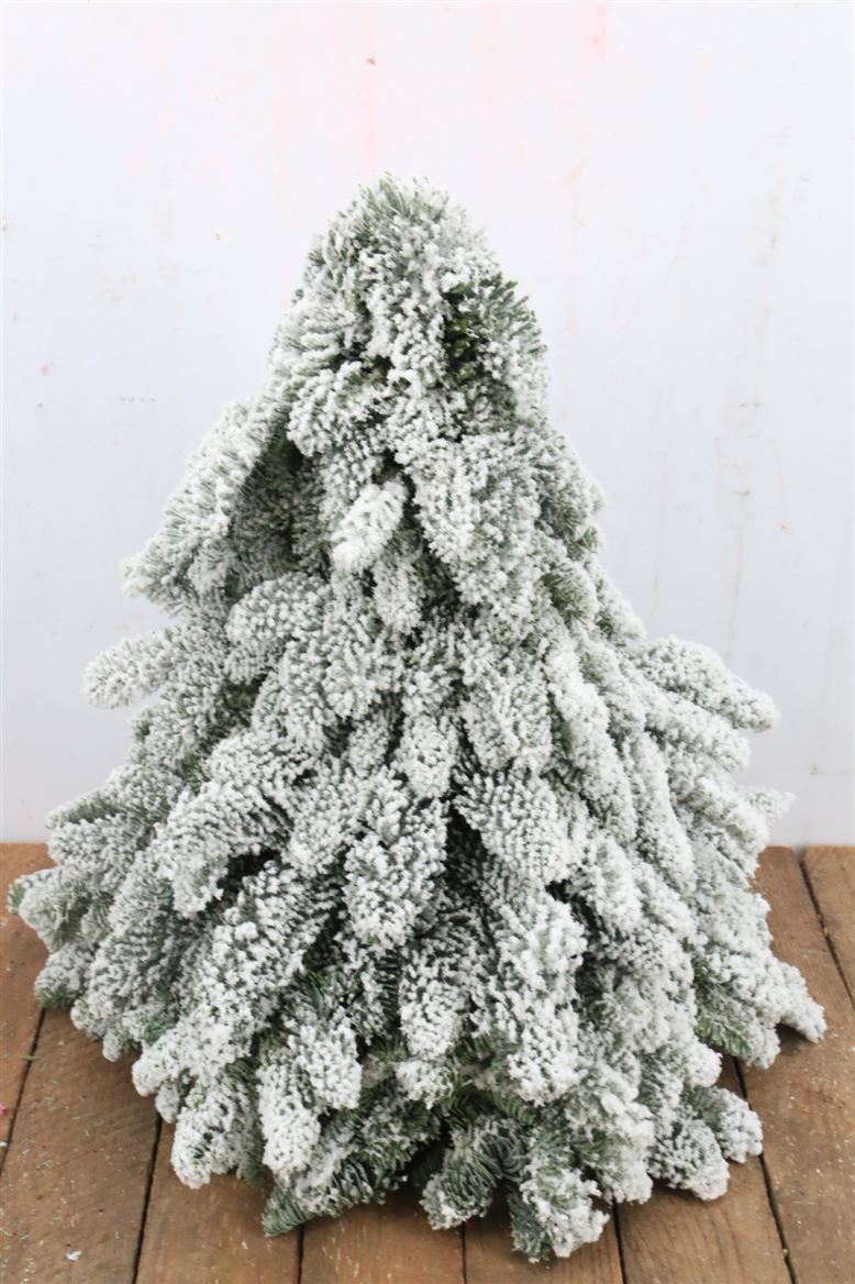 Chamaecyparis X-mass Snowy 40Ø 40cm