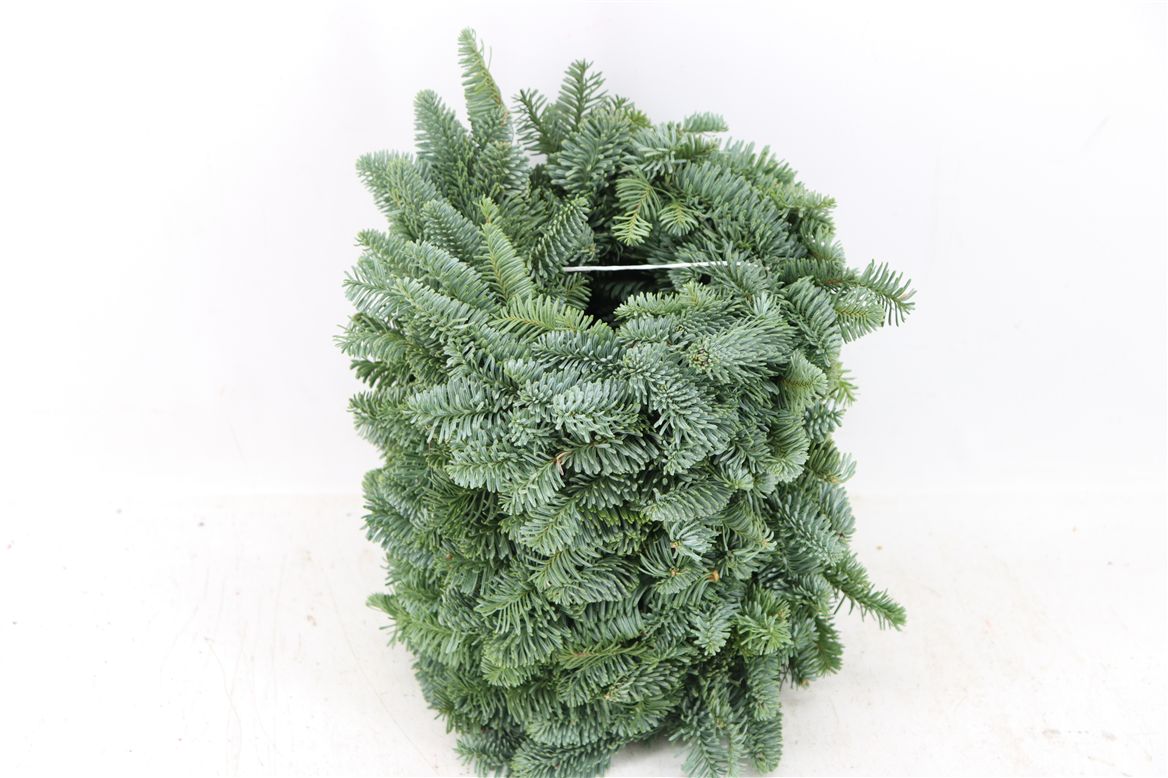 Decoration Material
