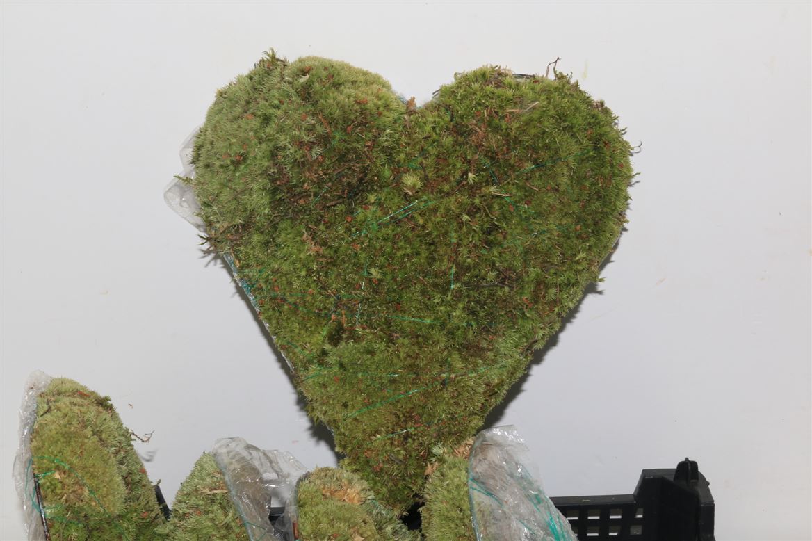 Various Greenery 30cm