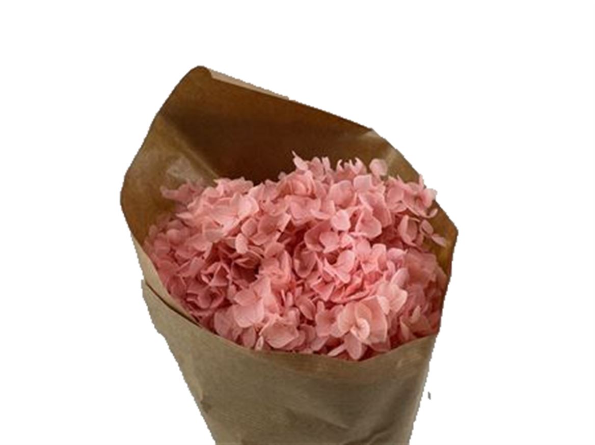 Pres Hydrangea Lightpink Bunch