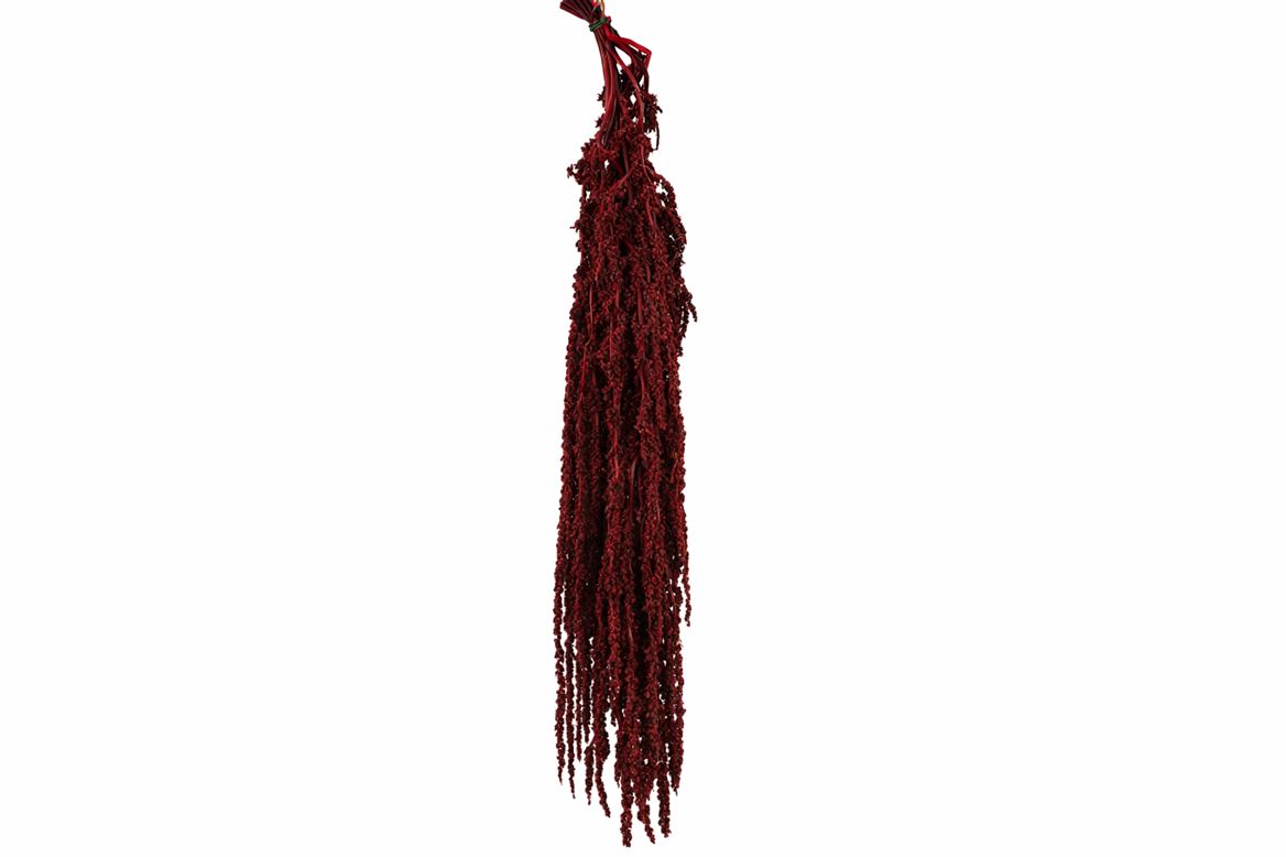 Pres Amaranthus Caud Bordeaux Bunch