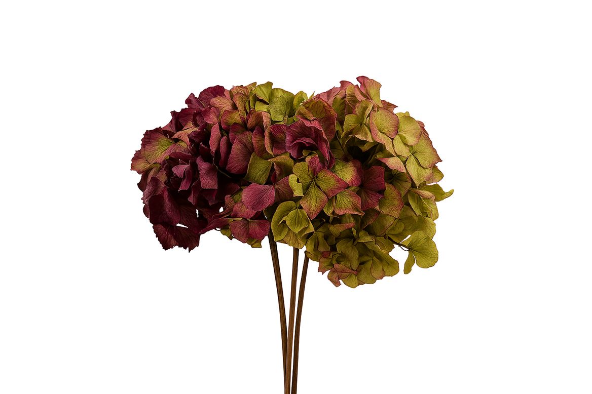 Pres Hydrangea Natural Lilac Bunch