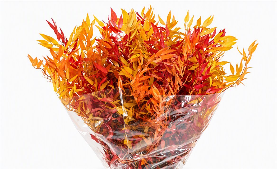Pres Ruscus Autumn Bunch