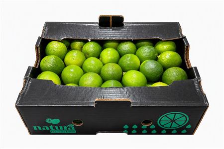 Sier Limes P Box