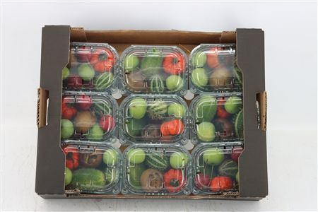 Sier Cucumis Mix X9