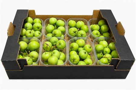 Sier Malusappel Groen Plat X8