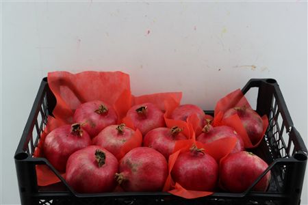 Sier Granaatappel Red X12 P Box