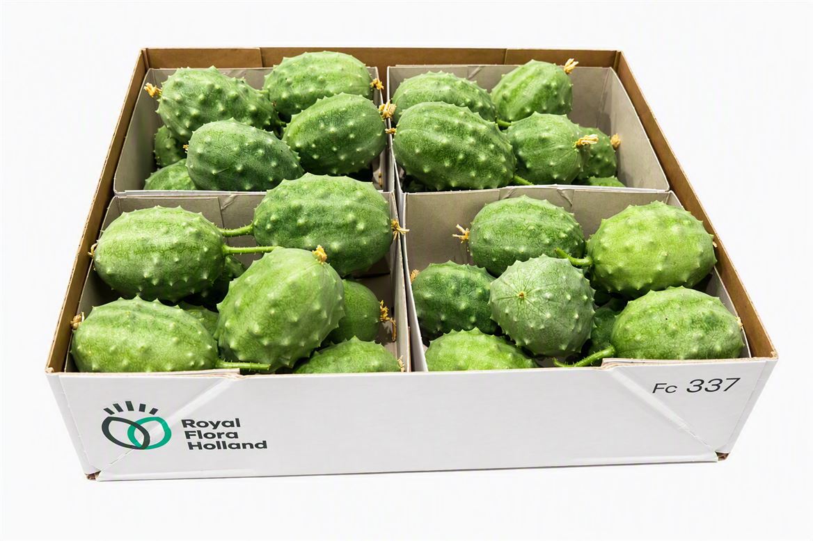 Ornamental Fruits