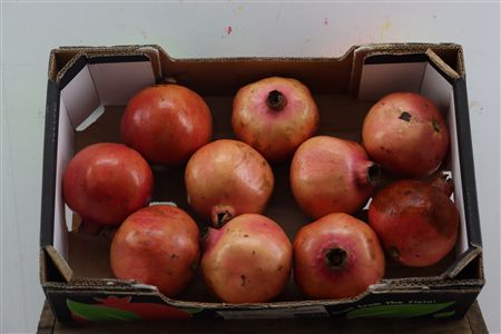 Sier Granaatappel Red Orange X10 P Box