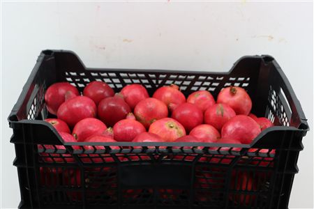 Sier Granaatappel Red 9 Kg P Box