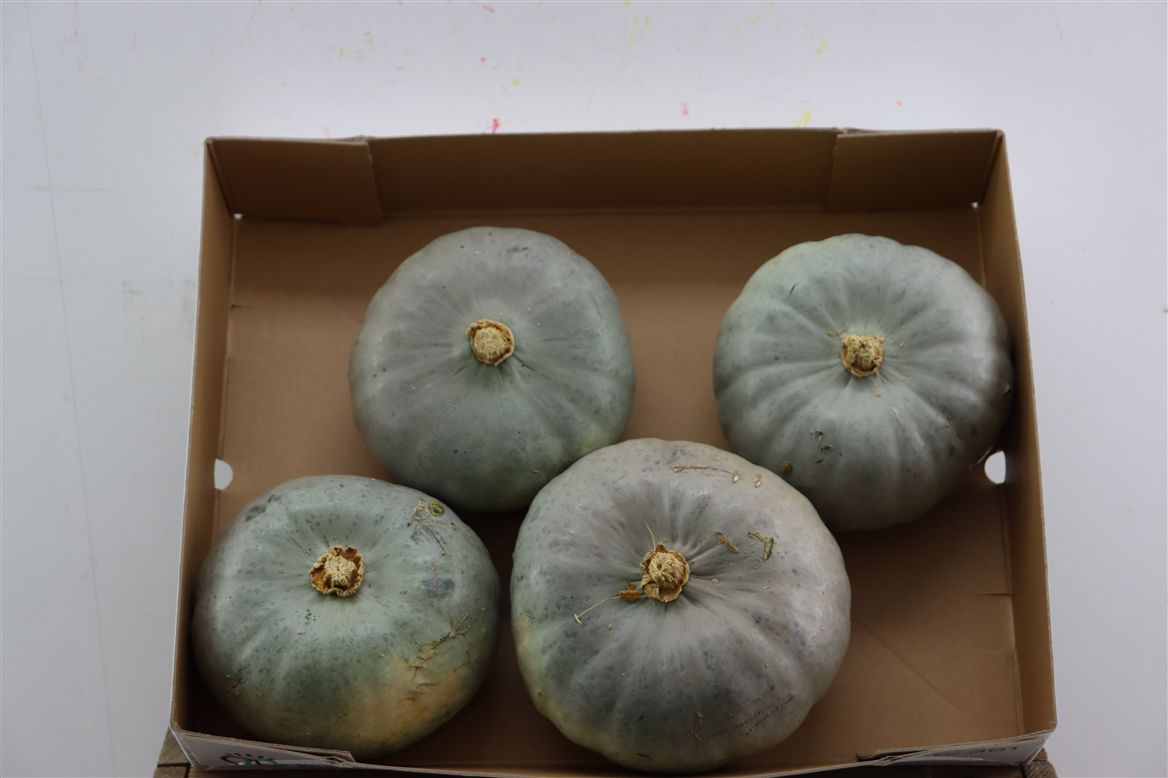 Ornamental Fruits Per Piece