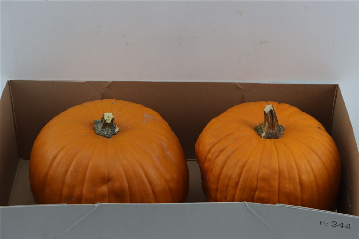 Ornamental Fruits Per Piece