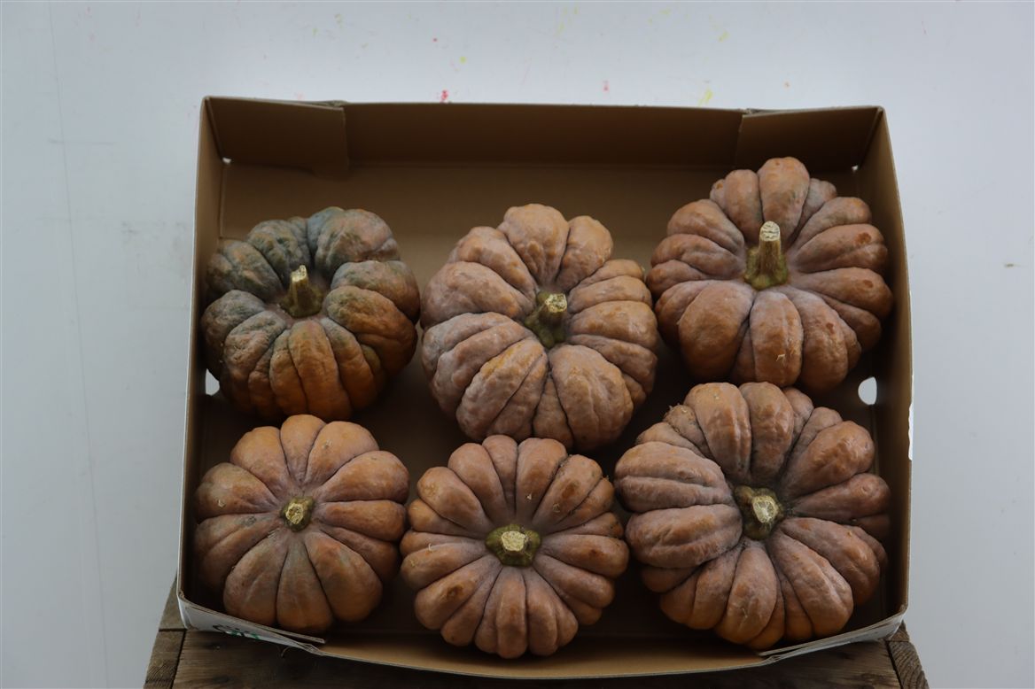 Ornamental Fruits Per Piece