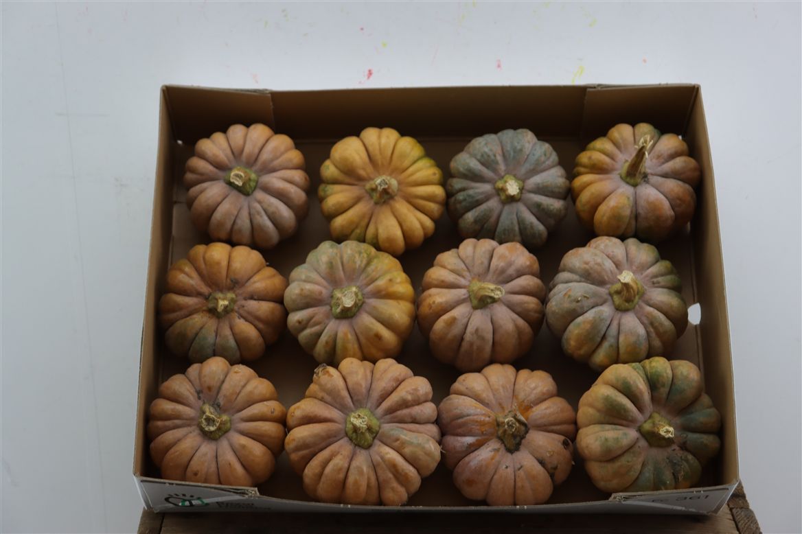 Ornamental Fruits Per Piece