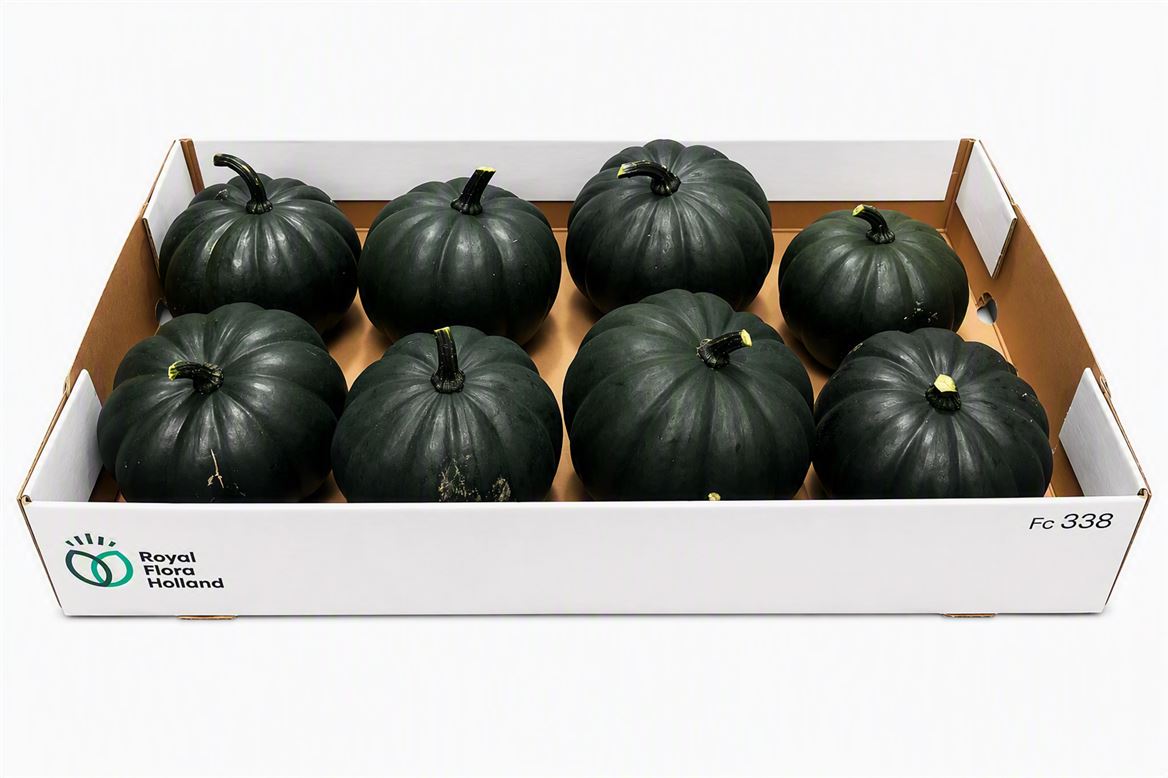 Ornamental Fruits Per Piece