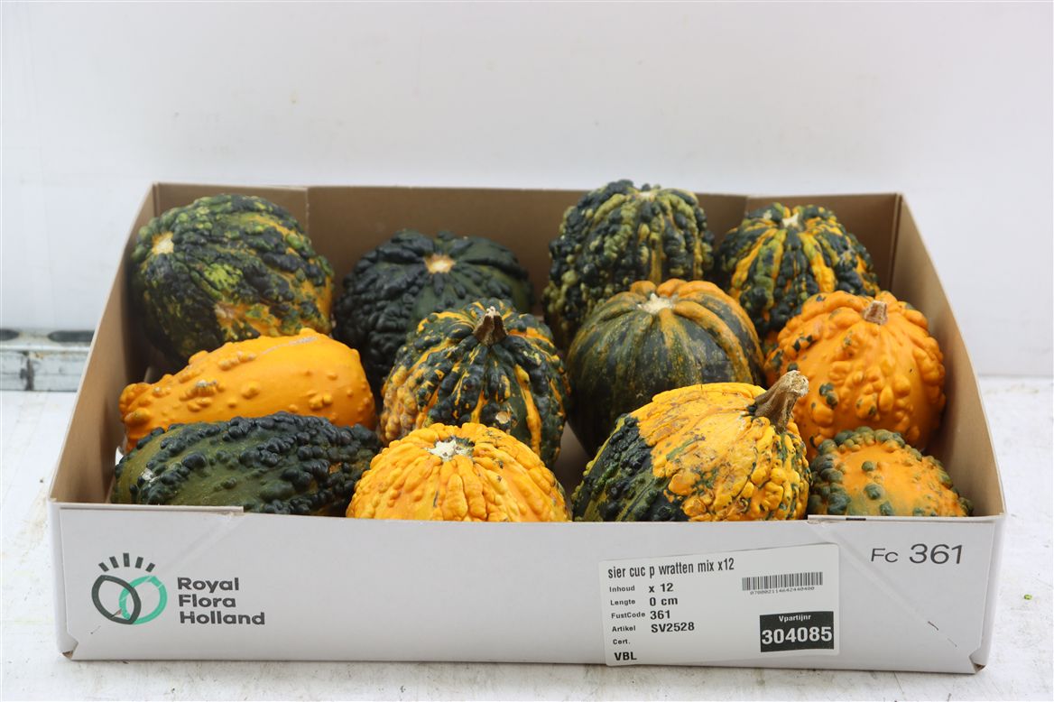 Ornamental Fruits Per Piece