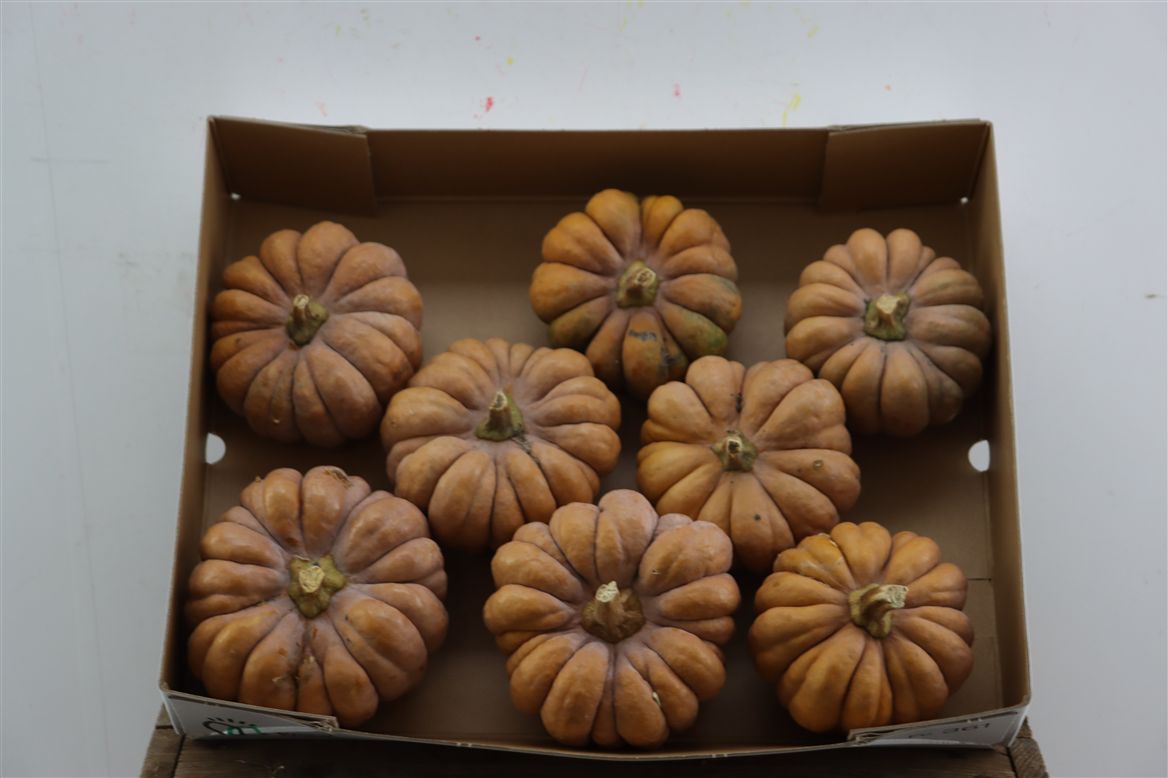 Ornamental Fruits Per Piece