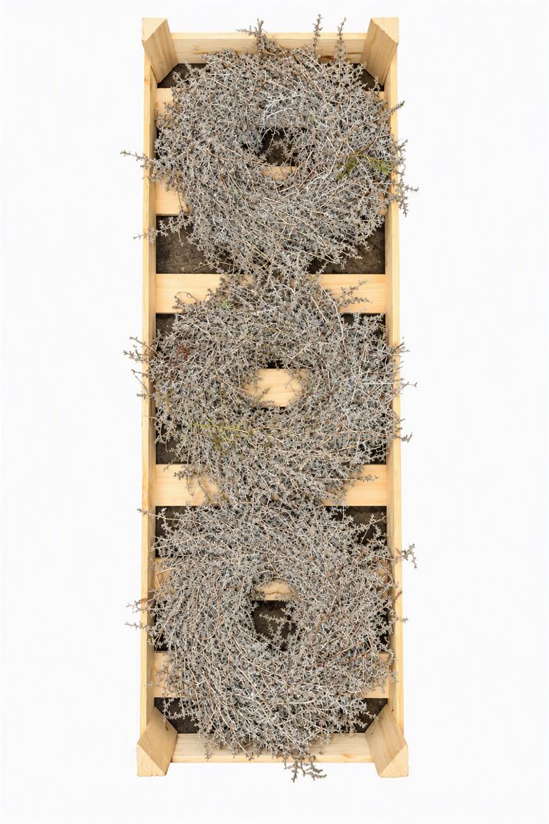 Wreath