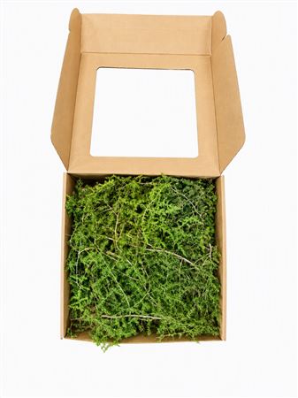Asparagus Naturel P Box
