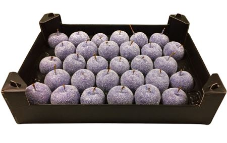 Waxappel Gl Lavendel