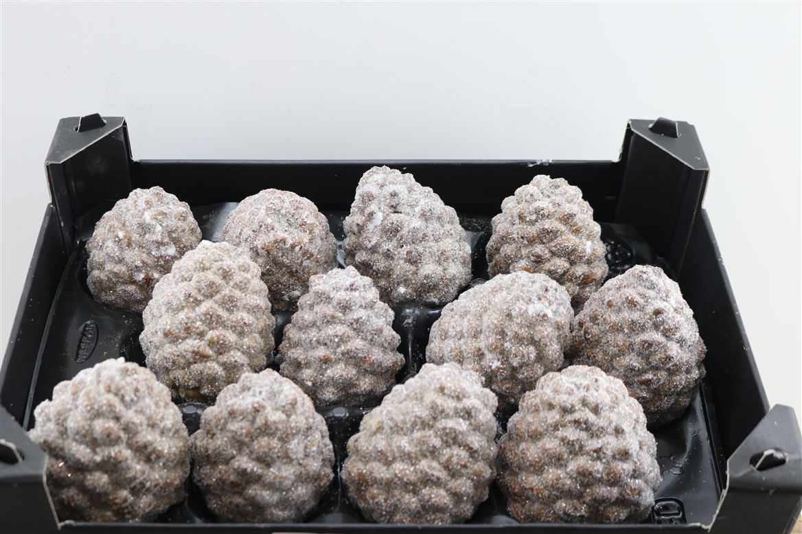 Stick Pine Cone Wax
