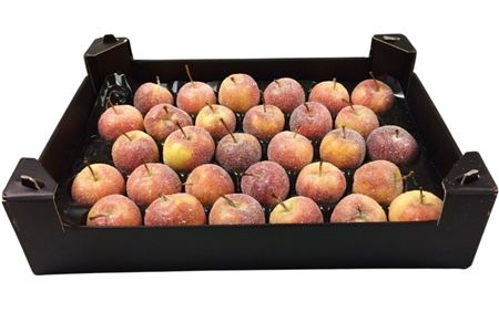 Waxappel Gl Naturel