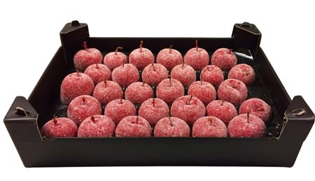Waxappel Gl Rood Kerst