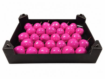 Waxappel Fuchsia