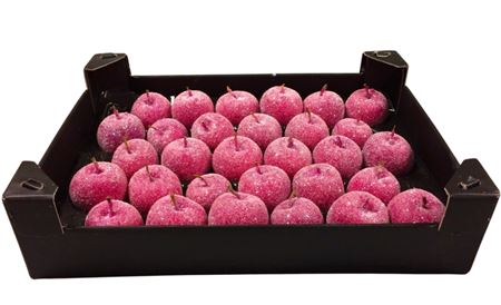 Waxappel Gl Fuchsia