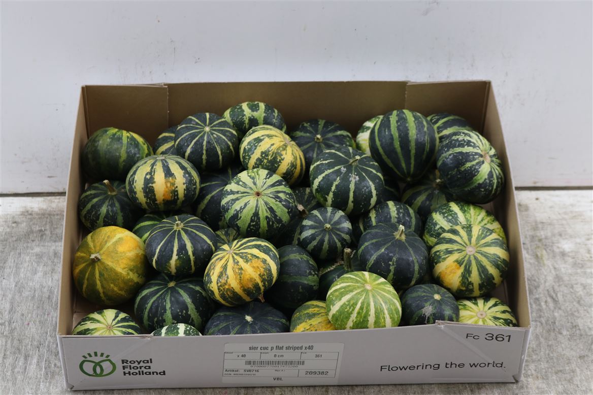 Ornamental Fruits Per Piece