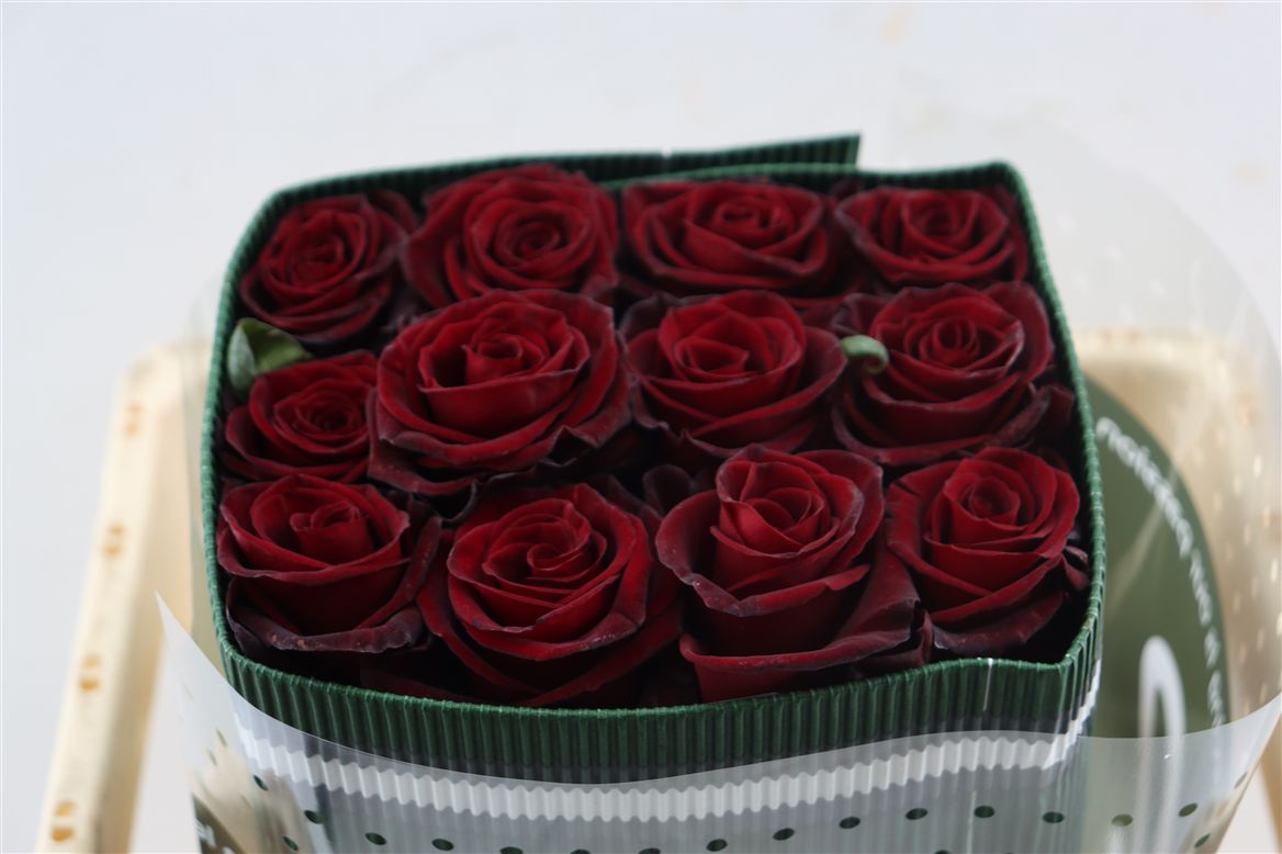 Rosa Mommy Black 40cm