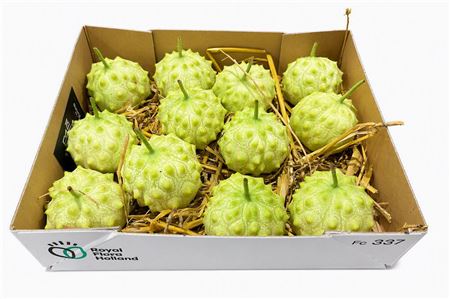 Sier Cucumis Kiwano Round P Box