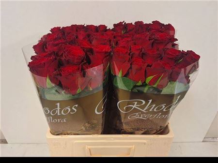 R Gr Rhodos
