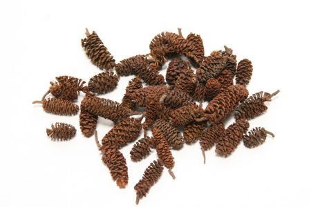 Deco Birch Pine 300gr