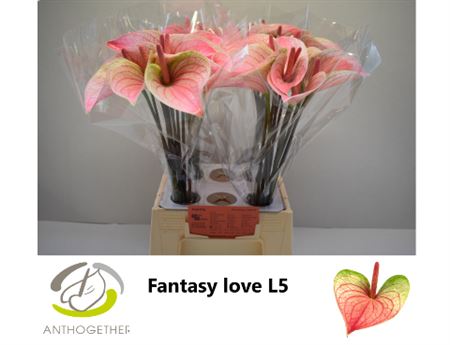 Anth A Fantasy Love