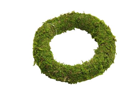 Wr Asia Moss 10cm Green