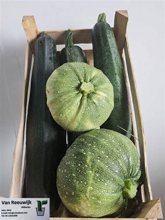 Sier Cucurbita Mix Extra