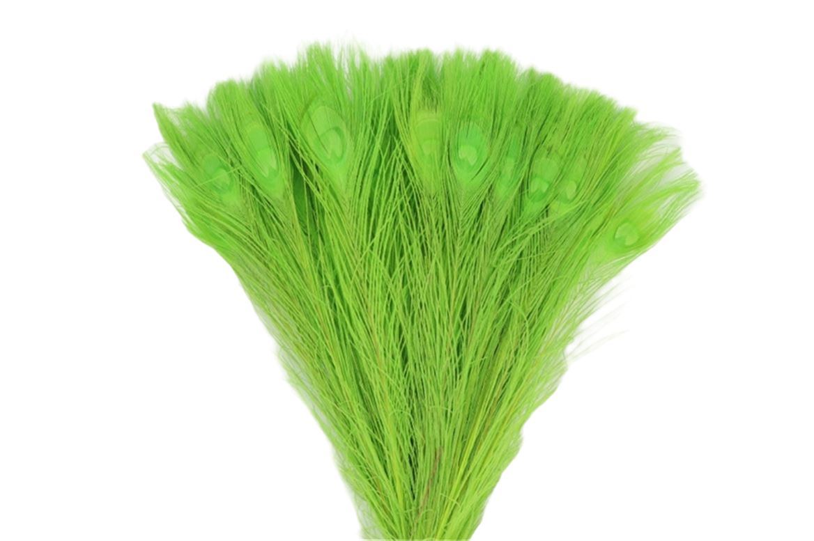Feather Peacock Appelgreen L45-50