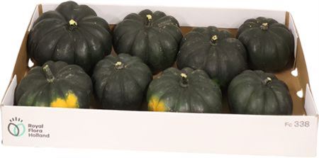 Sierfruit Black Cat