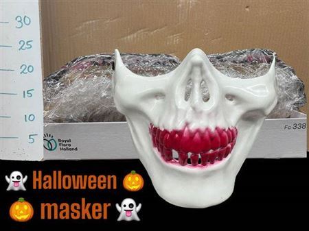 Dec Halloween