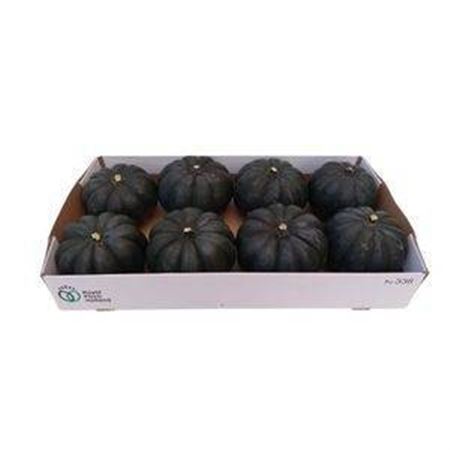 Sierfruit Black Cat