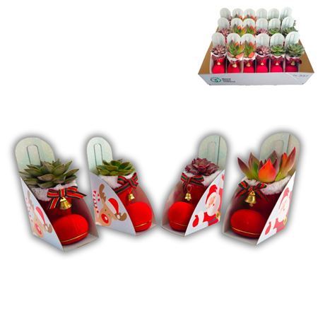 Arr Christmas Boot Mix