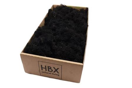 Moss Reindeer Moss 500gr Black