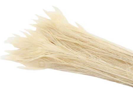 Feather Peacock L90-100 Bleached White