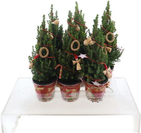 Kerstboom Versierd+deco Zink