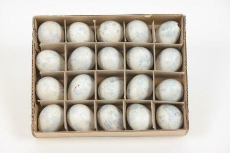 Quail Egg 20pcs White Wash