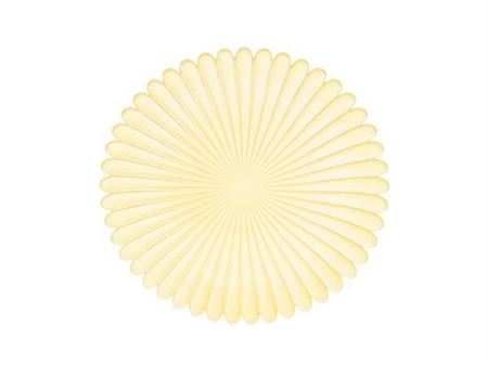 Plate Petal H1.5d27