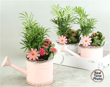 Arr Kamerpl Zink Gieter