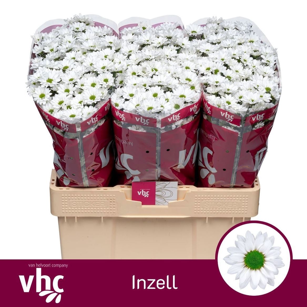 Chrys Santini Inzell 55cm 120Ø