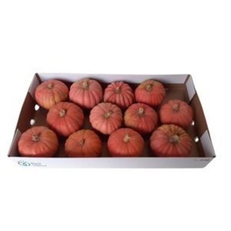 Ornamental Fruits Per Piece